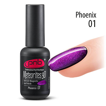 UV/LED Magnetic Gel Polish, Meteorites 9D, 01 PNB